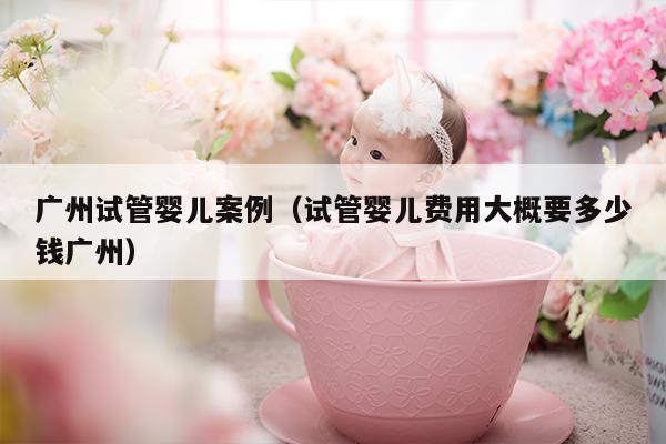 广州试管婴儿案例（试管婴儿费用大概要多少钱广州）
