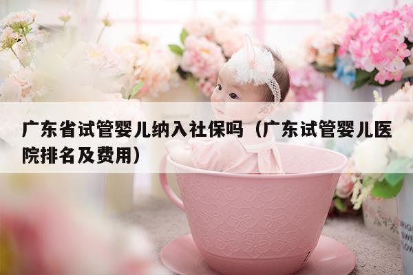广东省试管婴儿纳入社保吗（广东试管婴儿医院排名及费用）