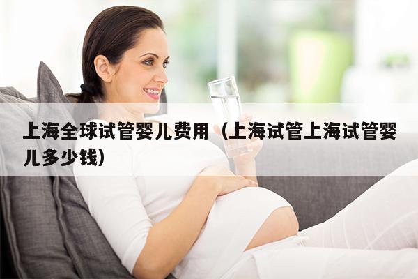 上海全球试管婴儿费用（上海试管上海试管婴儿多少钱）