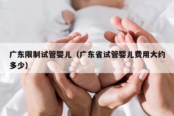 广东限制试管婴儿（广东省试管婴儿费用大约多少）