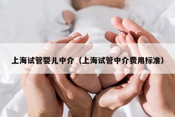 上海试管婴儿中介（上海试管中介费用标准）